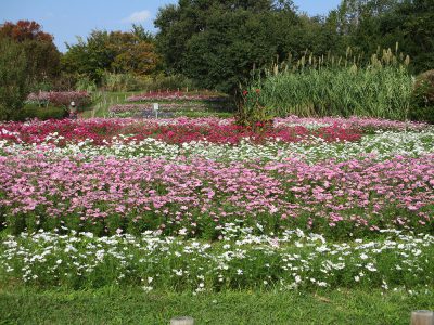 馬見丘陵公園に行ってきました！