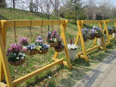 「春の遠足in馬見丘陵公園」